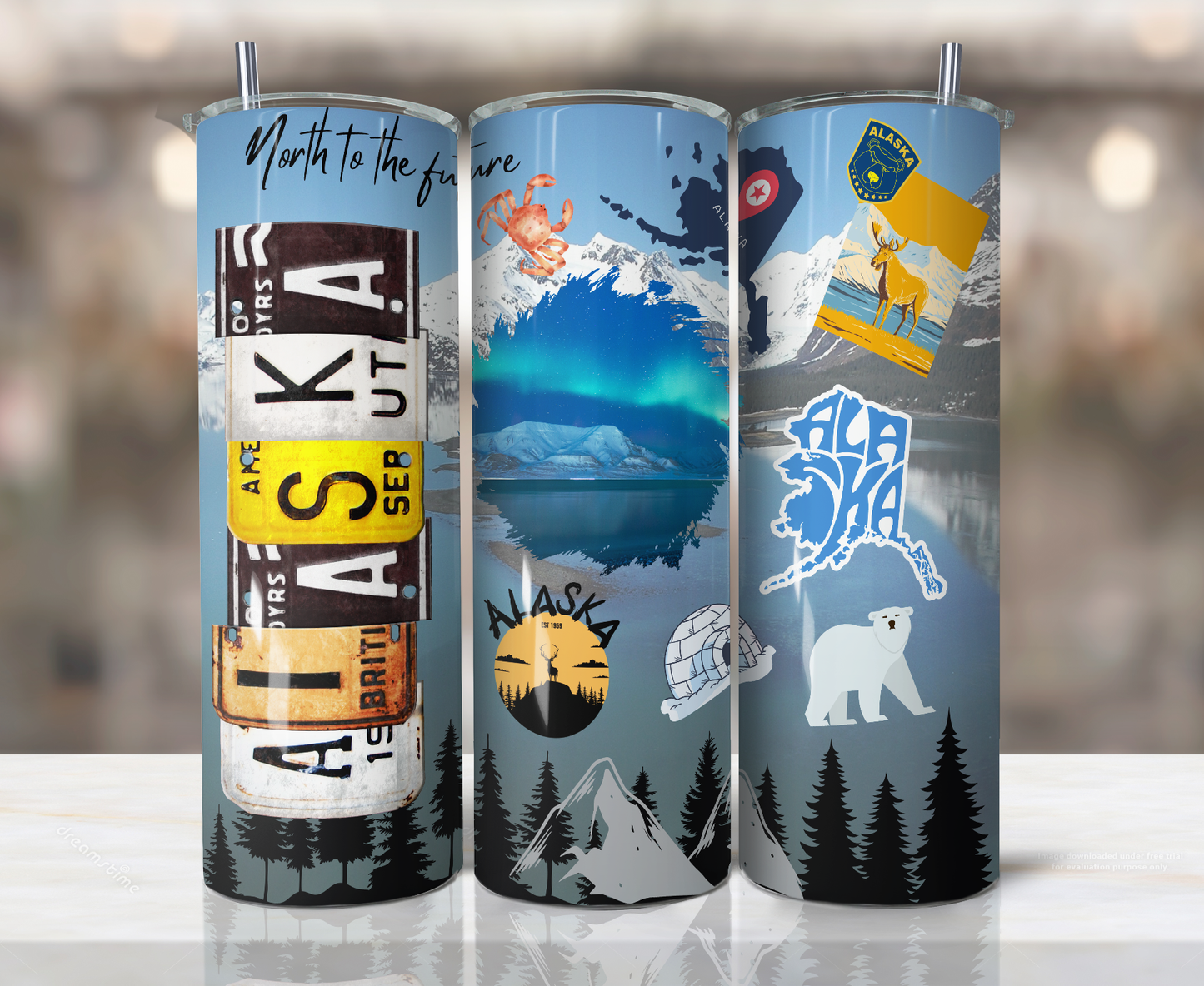 US States License Plate Sublimation Tumbler